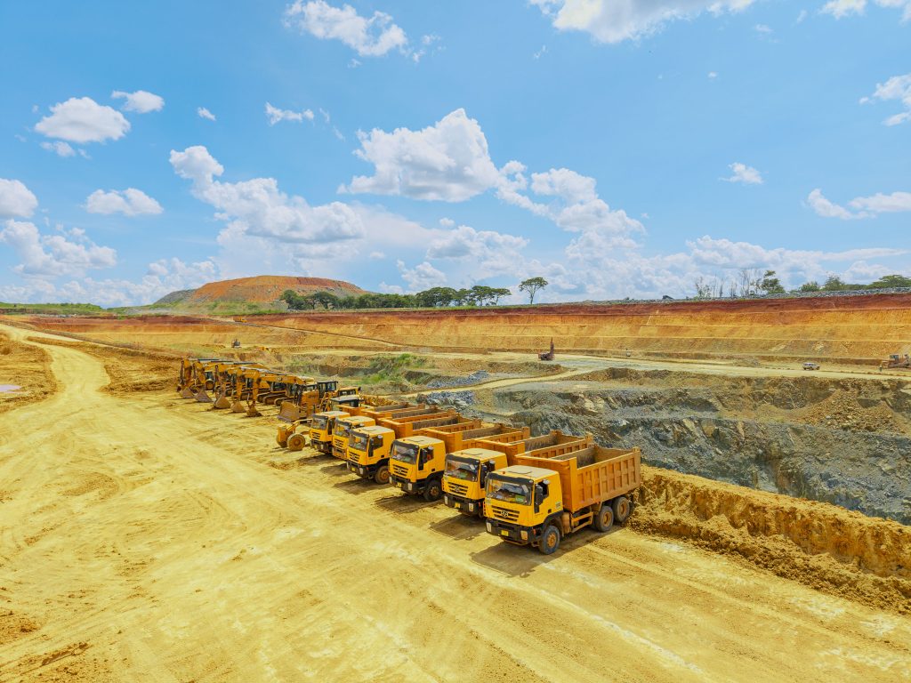  Buckreef Gold TRX GOLD