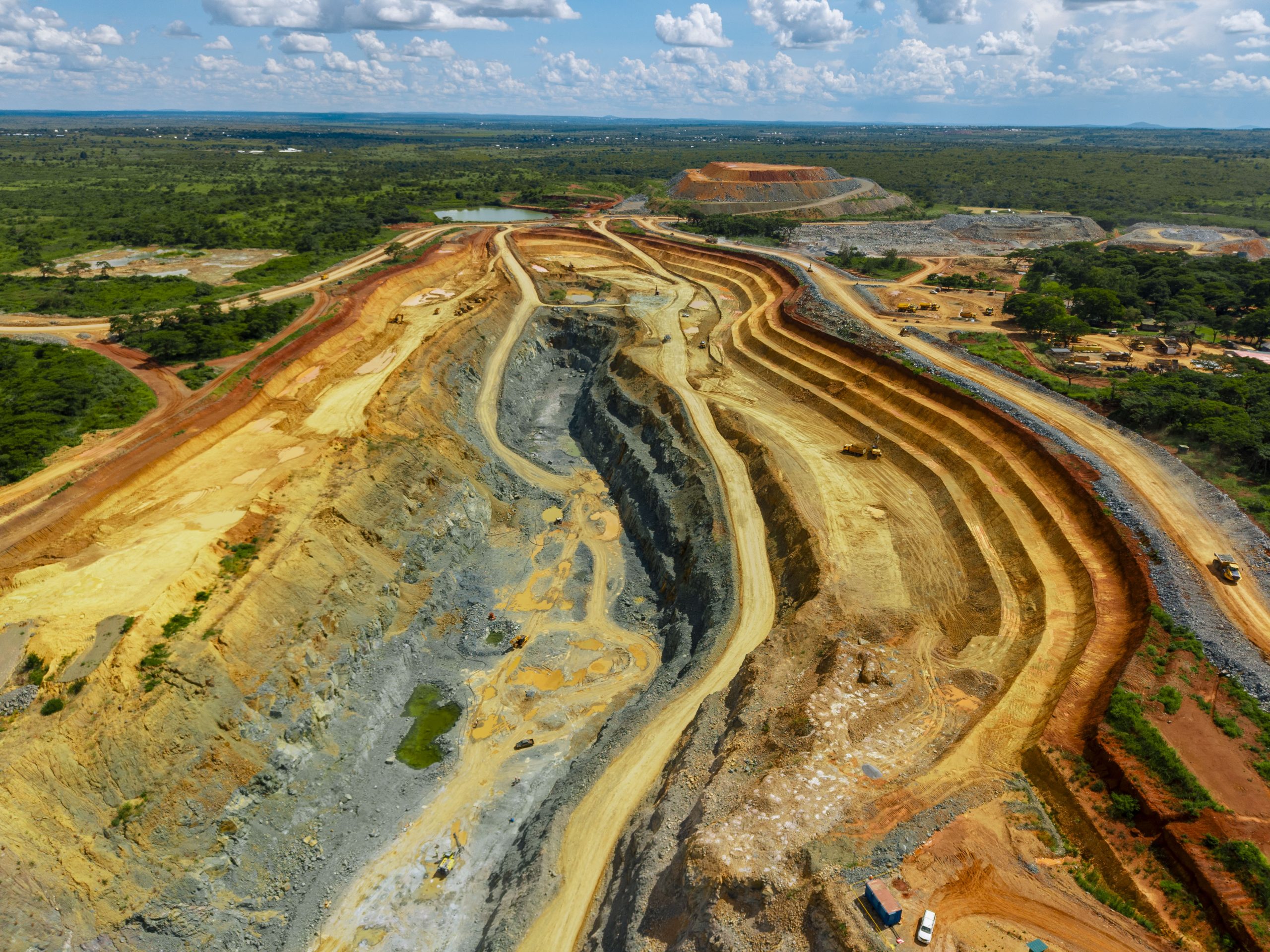  Buckreef Gold TRX GOLD