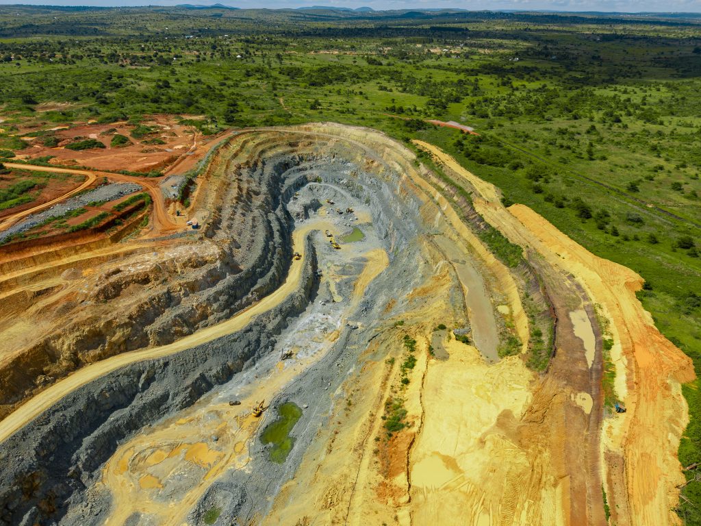  Buckreef Gold TRX GOLD