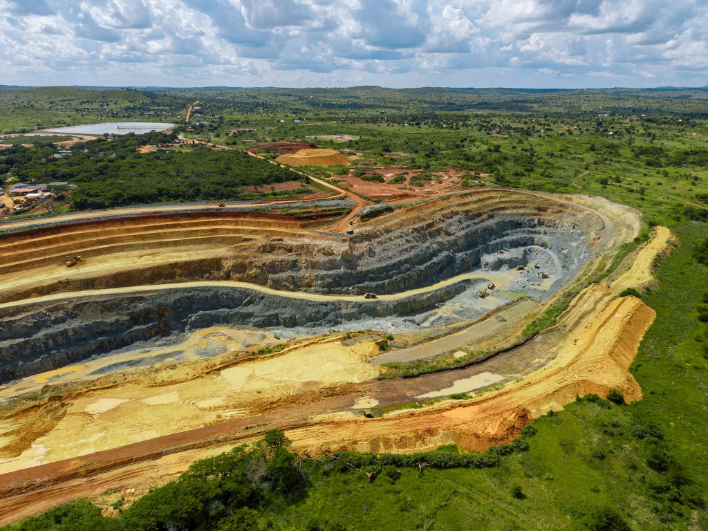  Buckreef Gold TRX GOLD