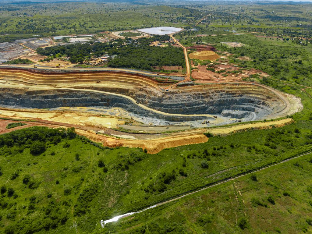  Buckreef Gold TRX GOLD