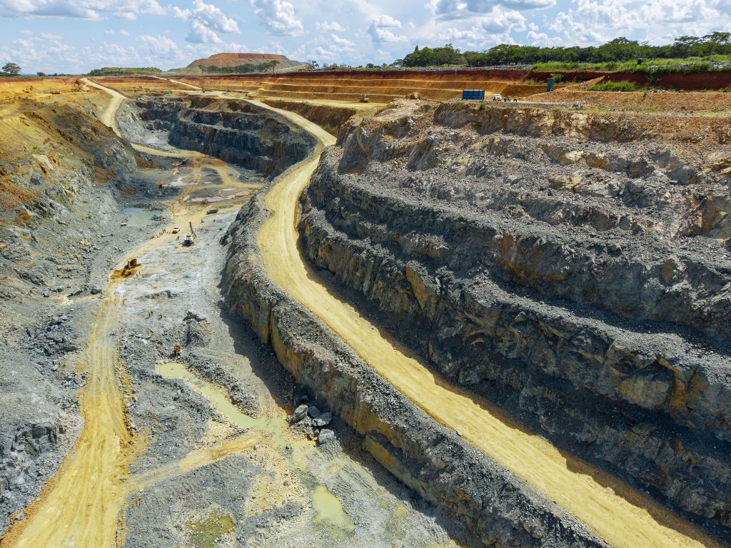  Buckreef Gold TRX GOLD