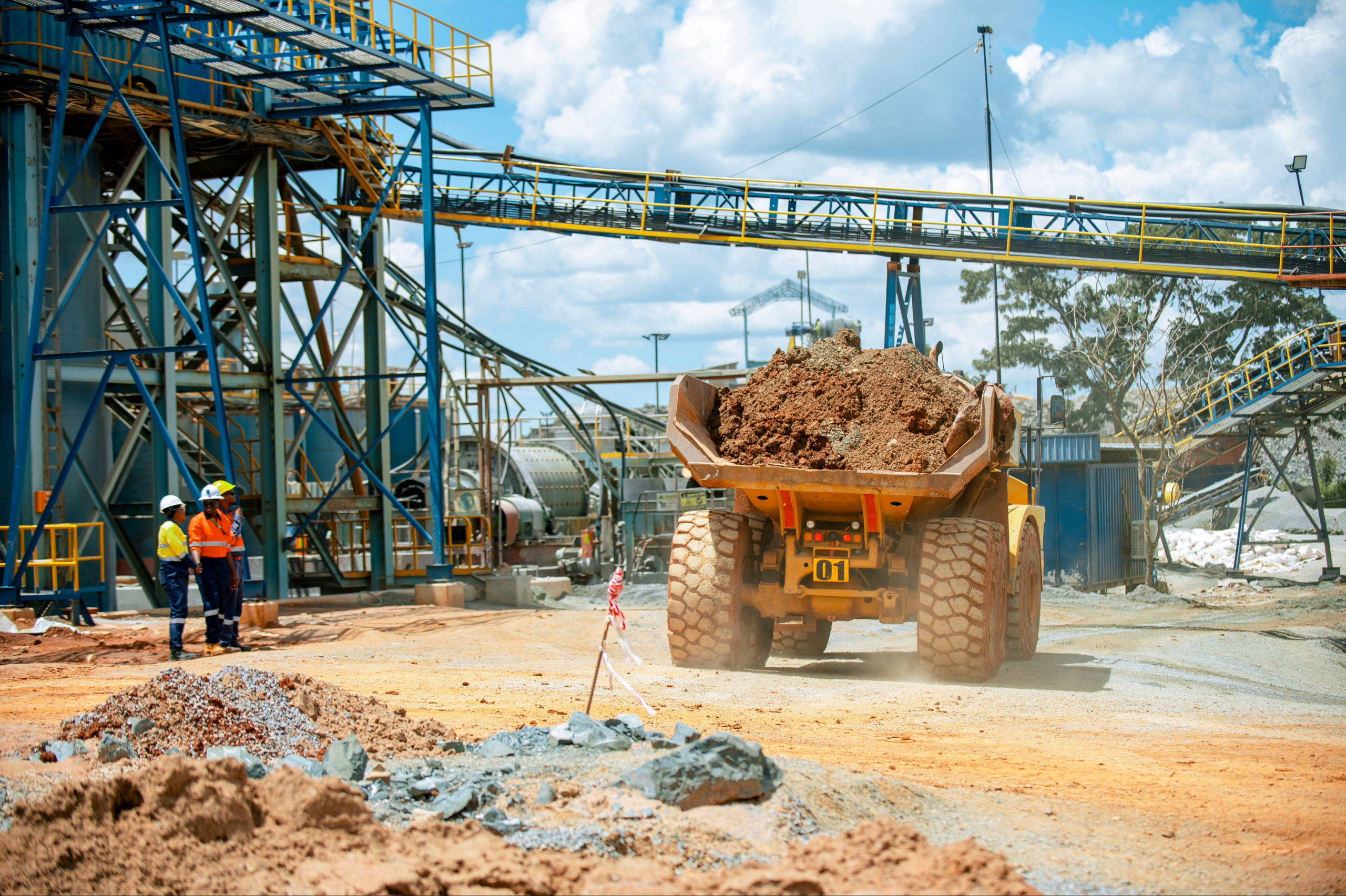 Buckreef Gold TRX GOLD