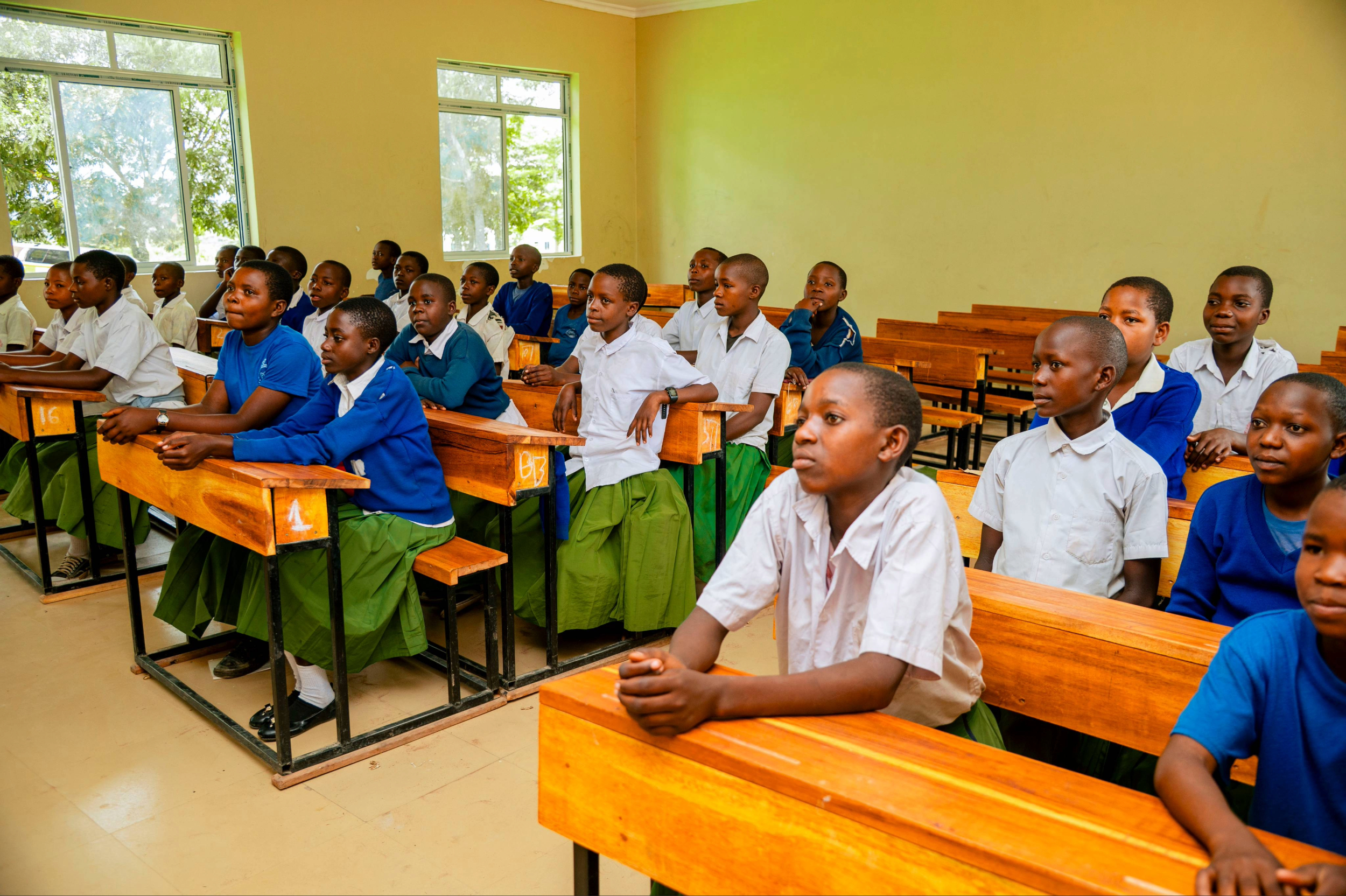 TRX GOLD BUCKREEF GOLD