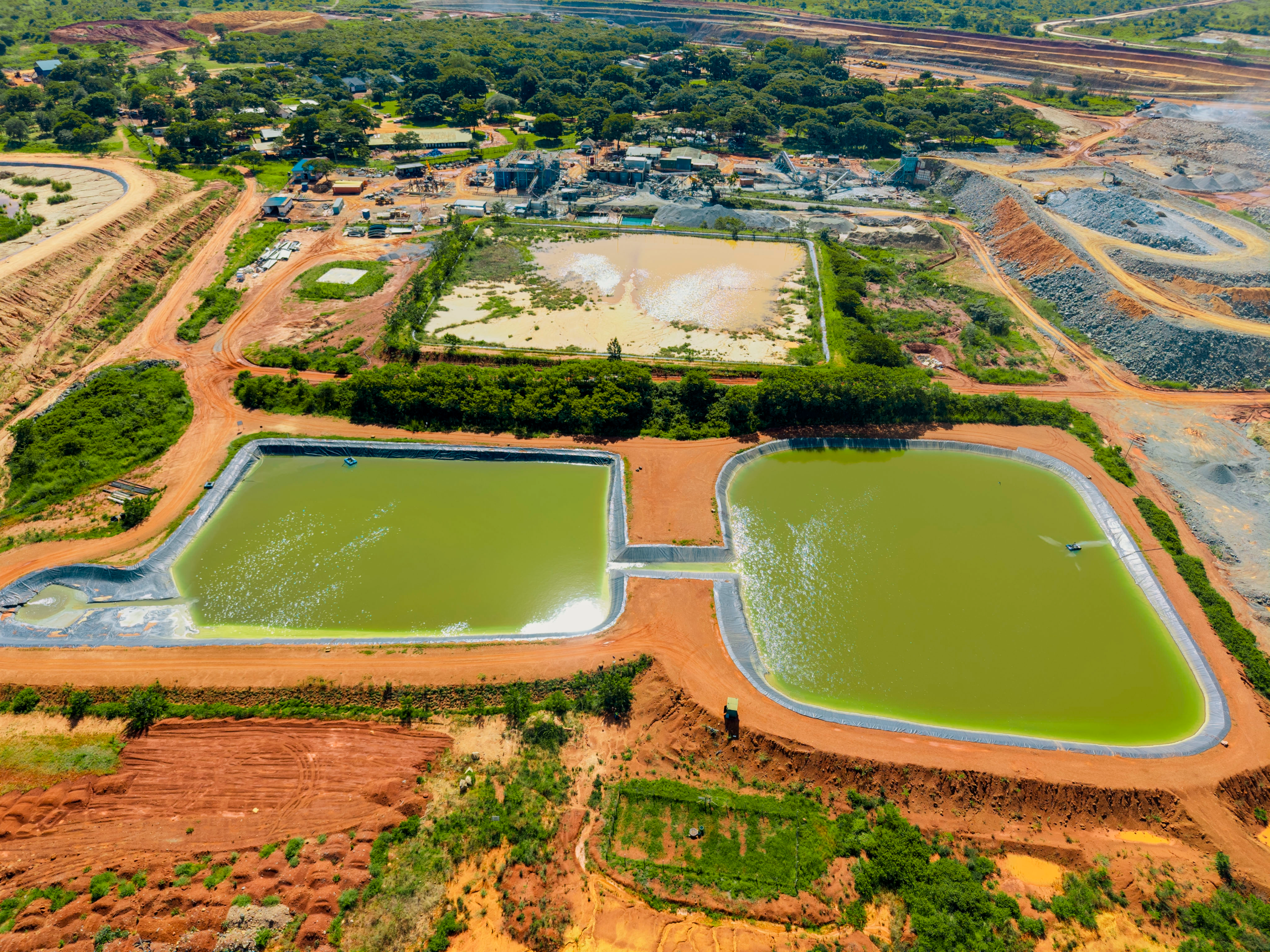 Resize Image Project (3)